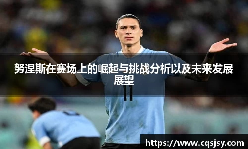 NG体育官网入口