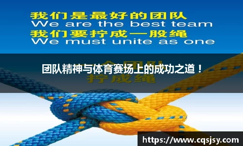 NG体育官网入口